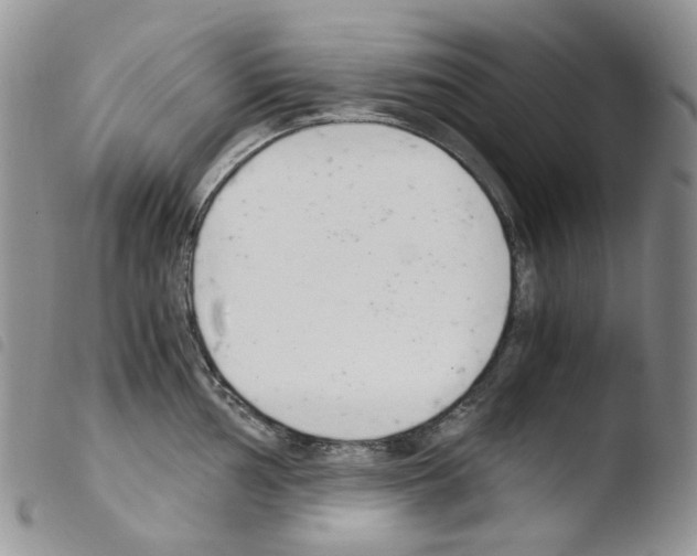 X0000103481002200810241033