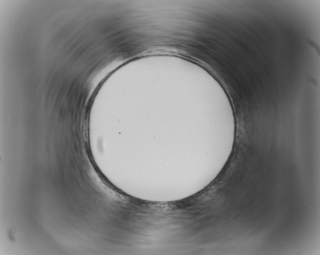 X0000103481003200810241033