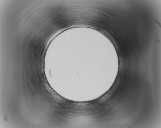 X0000103481004200810241033