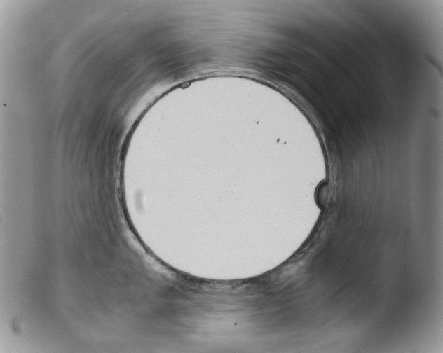 X0000103481005200810241033
