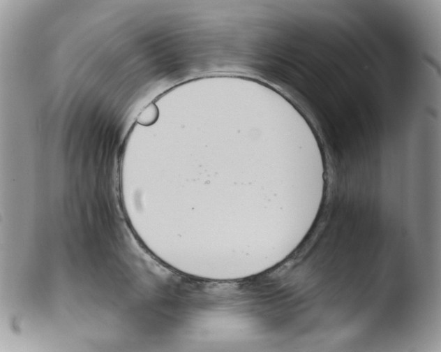 X0000103481006200810241033