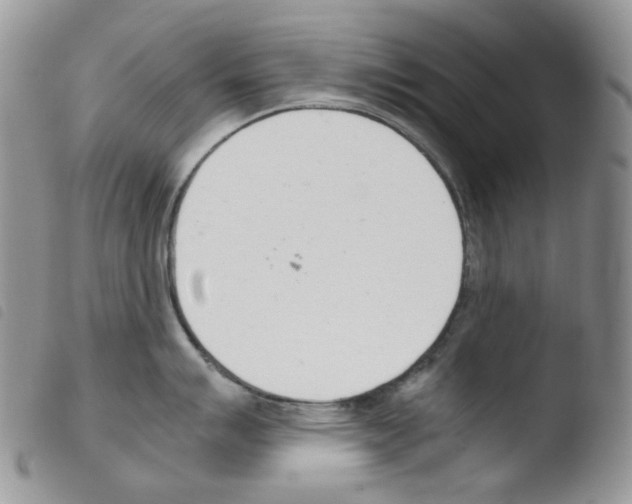 X0000103481007200810241033