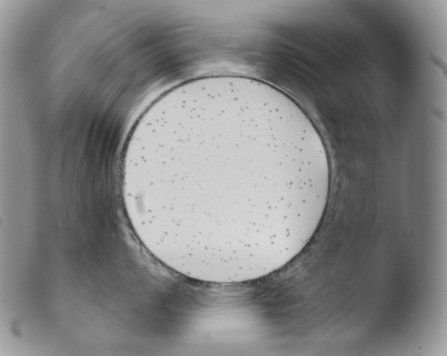 X0000103481008200810241033