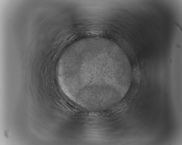 X0000103481009200810241033