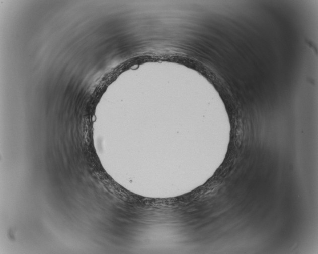 X0000103481016200810241033