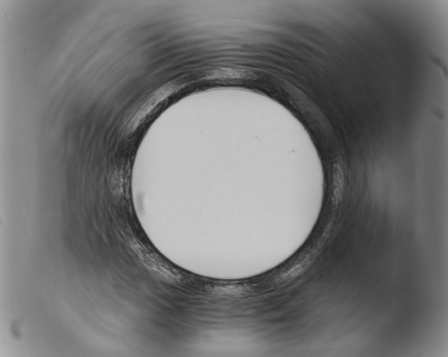 X0000103481017200810241033