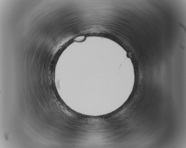 X0000103481018200810241033