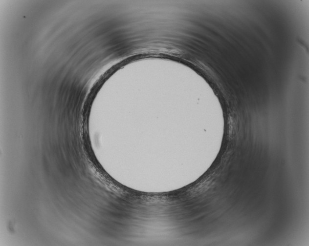 X0000103481020200810241033
