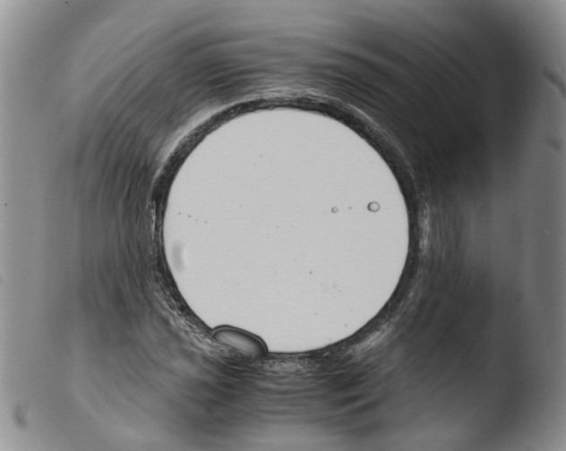 X0000103481021200810241033