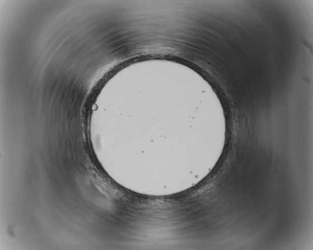X0000103481022200810241033