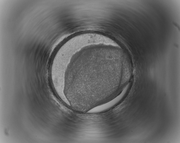 X0000103481024200810241033