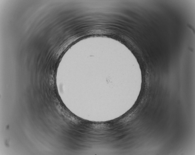 X0000103481025200810241033