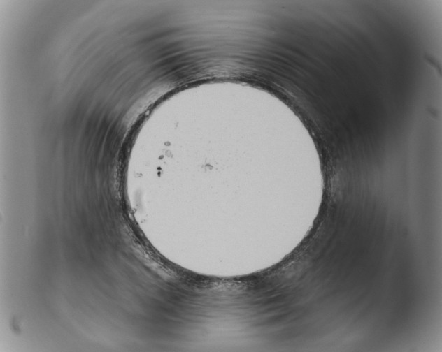 X0000103481026200810241033
