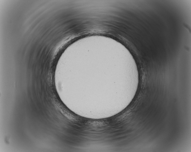 X0000103481027200810241033