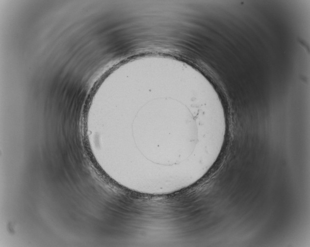 X0000103481028200810241033