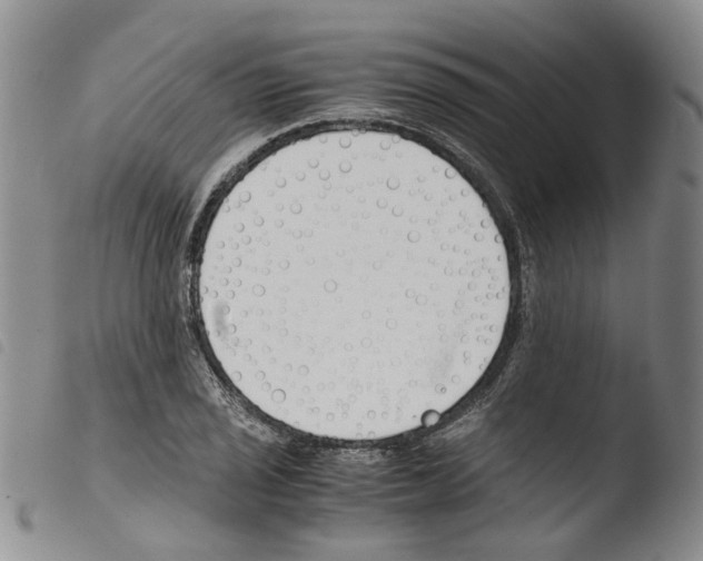 X0000103481029200810241033