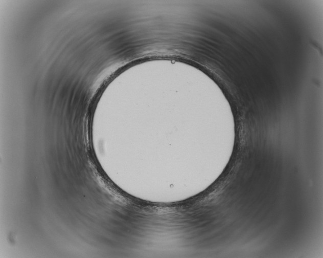 X0000103481030200810241033