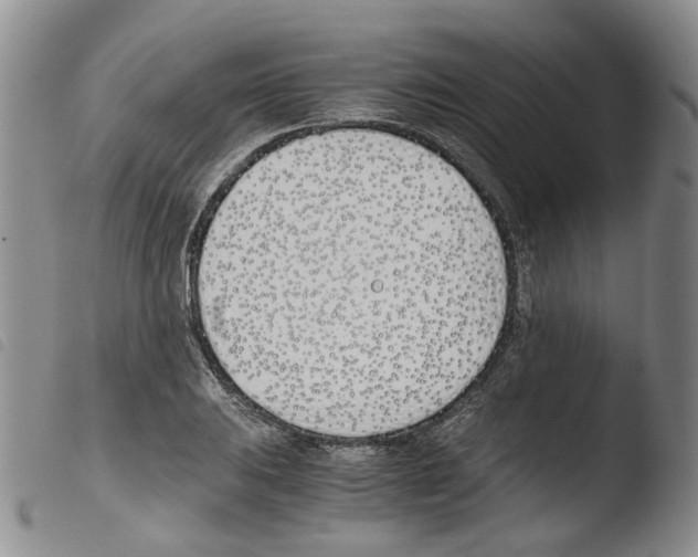 X0000103481031200810241033