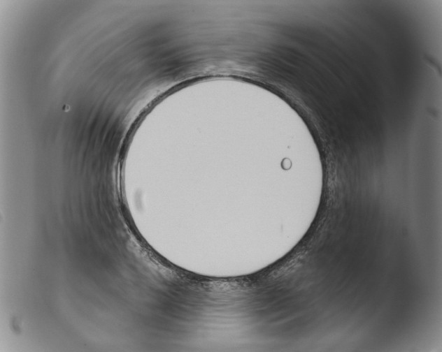 X0000103481032200810241033