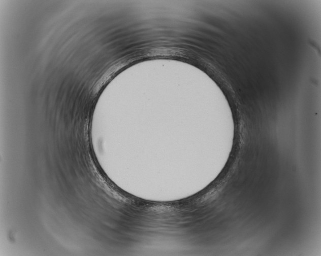 X0000103481033200810241033