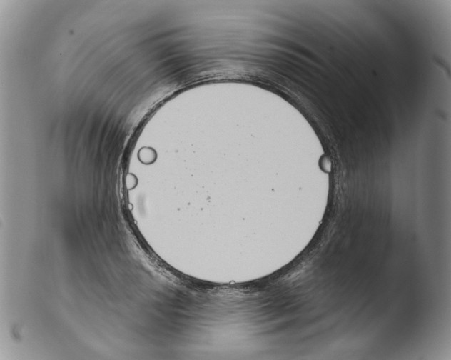 X0000103481034200810241033