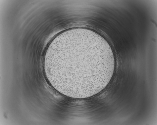 X0000103481035200810241033