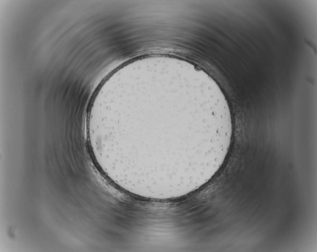 X0000103481036200810241033