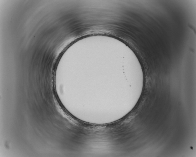 X0000103481038200810241033