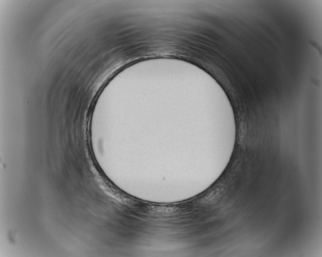 X0000103481039200810241033