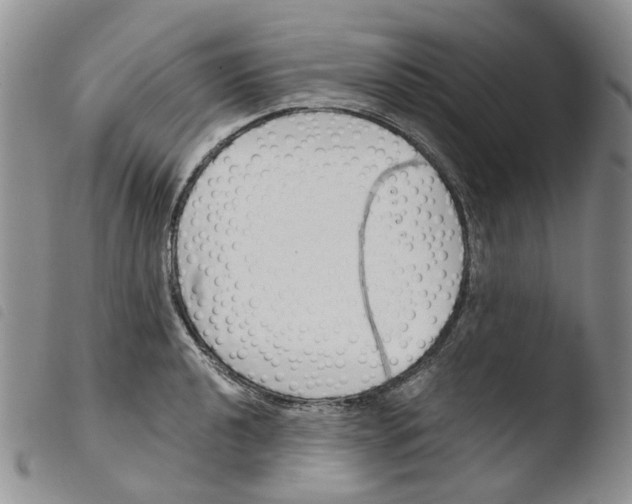 X0000103481040200810241033