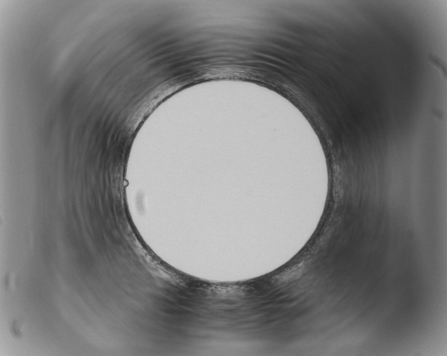 X0000103481041200810241033