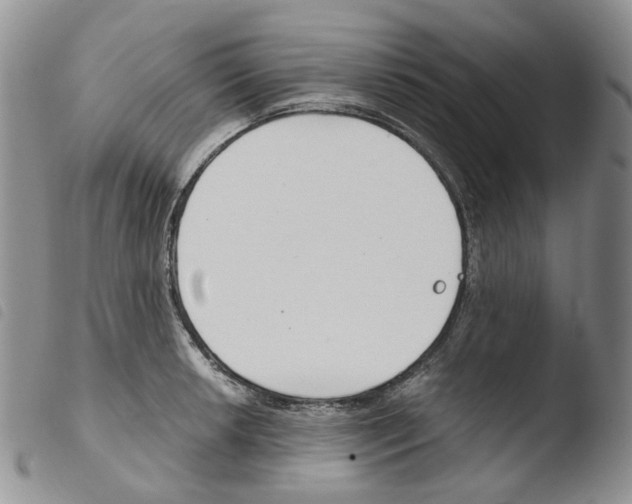 X0000103481042200810241033