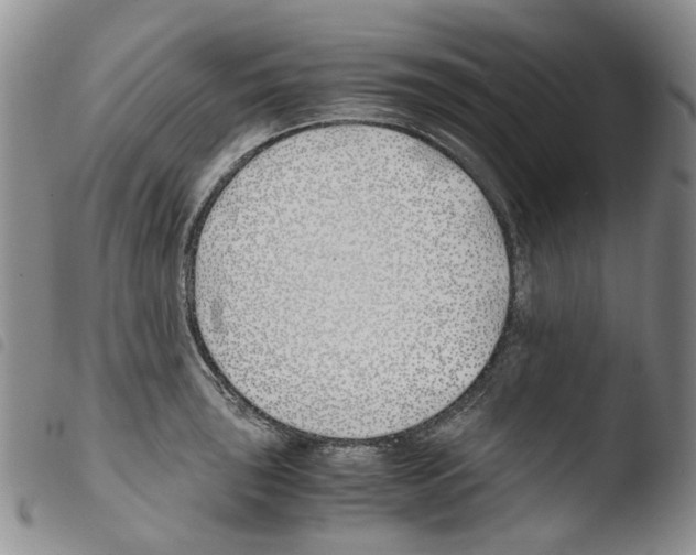 X0000103481043200810241033