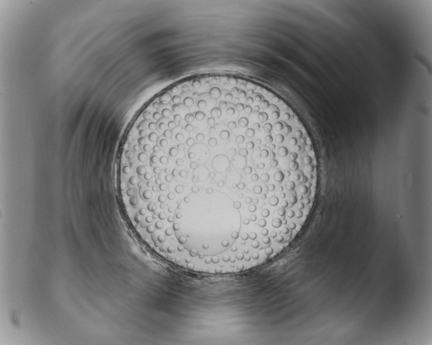 X0000103481044200810241033