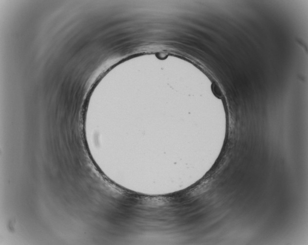 X0000103481045200810241033