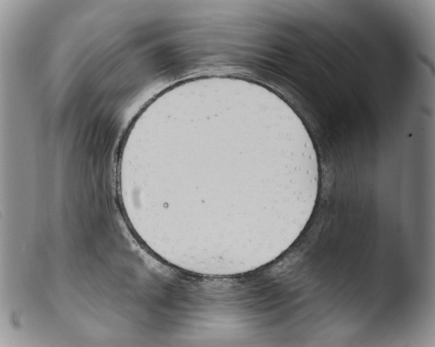 X0000103481046200810241033