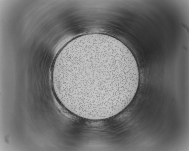 X0000103481047200810241033