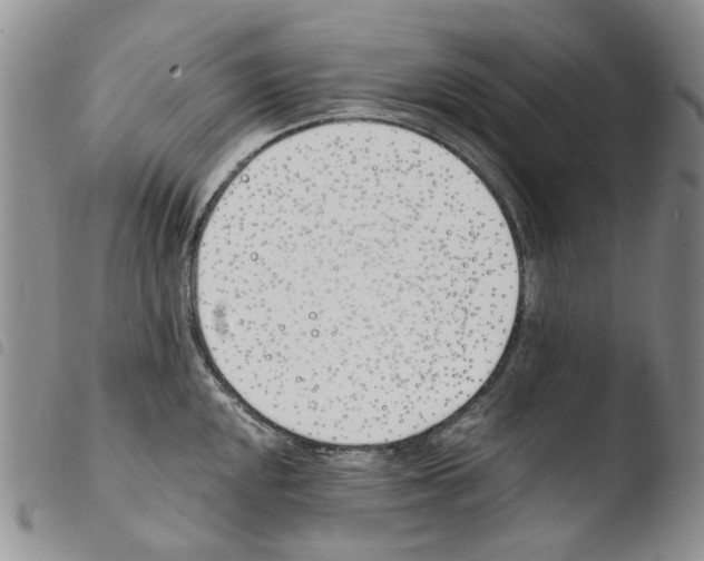 X0000103481048200810241033