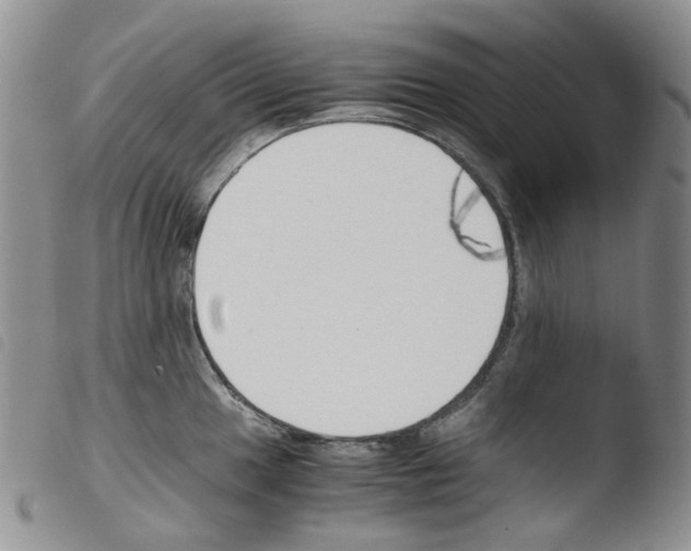 X0000103481049200810241033