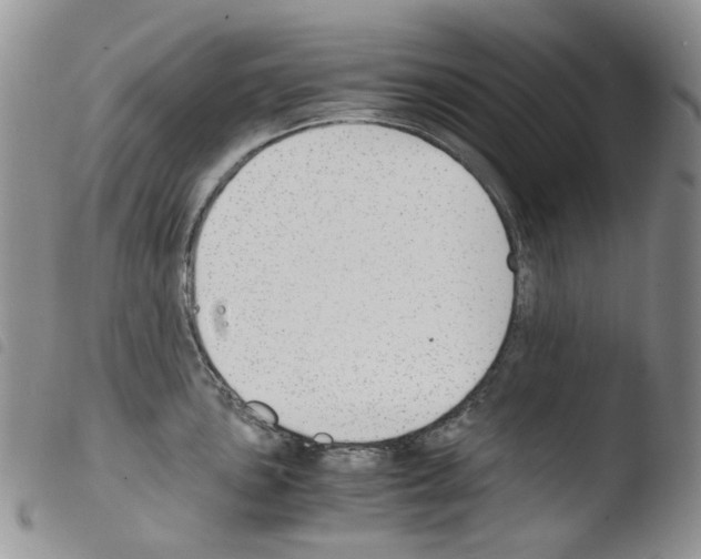 X0000103481051200810241033