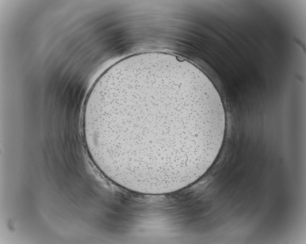 X0000103481052200810241033