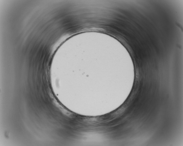 X0000103481054200810241033