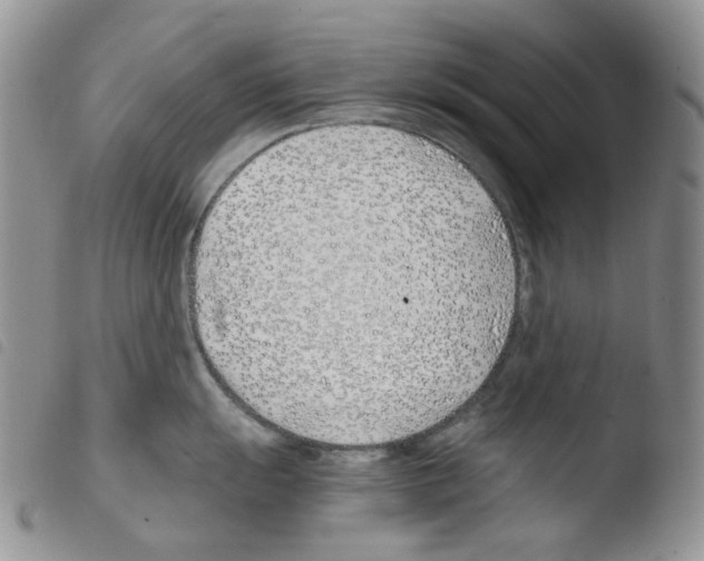 X0000103481055200810241033