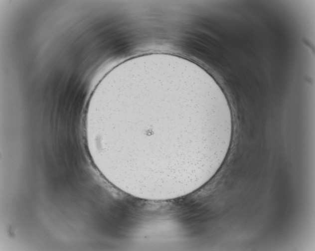 X0000103481056200810241033