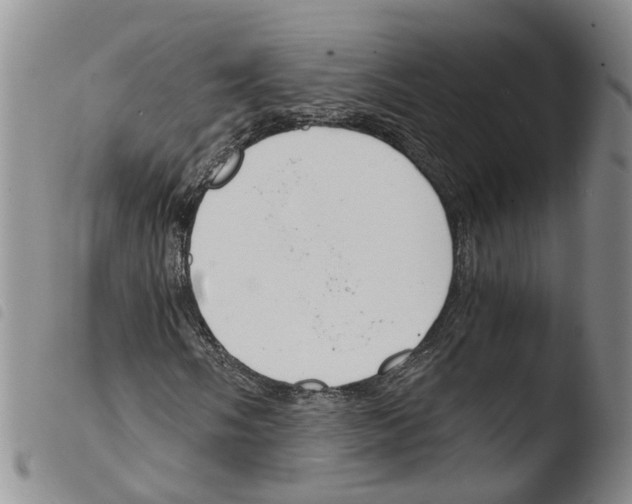 X0000103481058200810241033