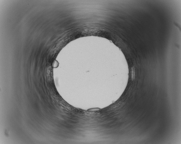 X0000103481059200810241032
