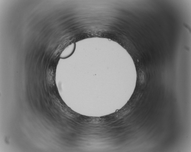 X0000103481060200810241032
