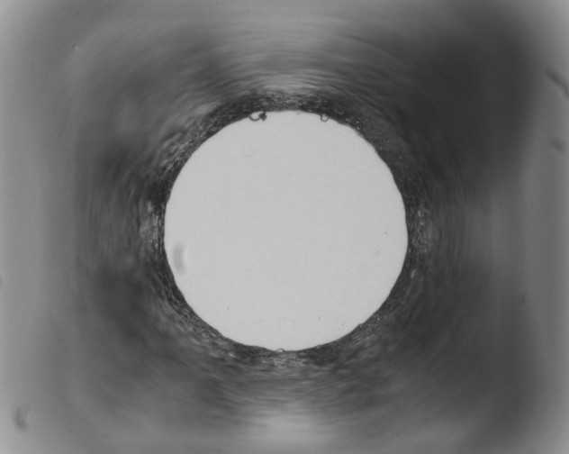 X0000103481061200810241032