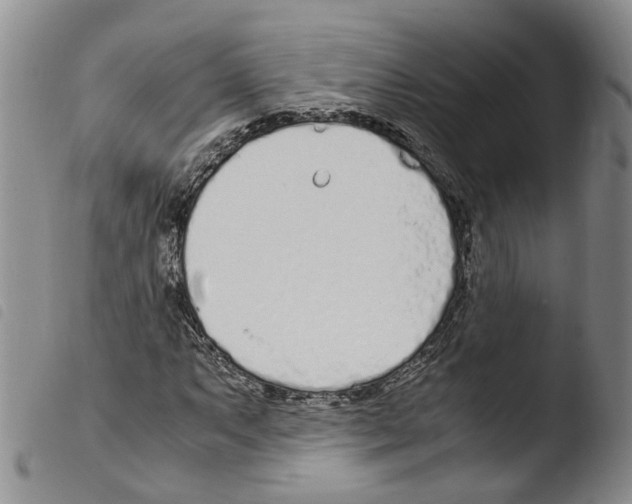 X0000103481063200810241032