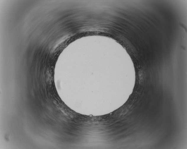 X0000103481064200810241032